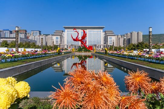 行政中心菊花展